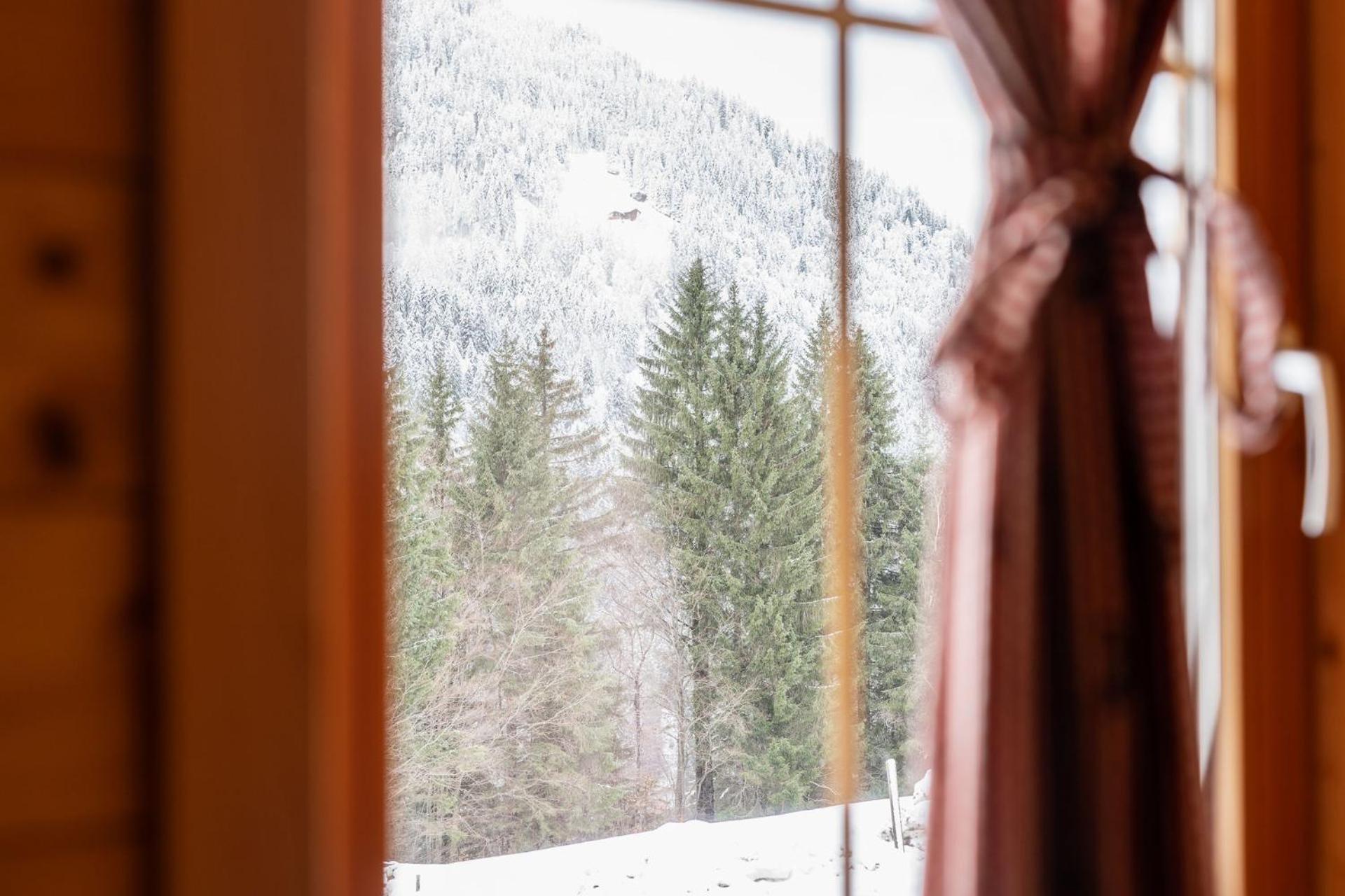 Neuberg Alm Villa Sankt Gallenkirch Kültér fotó