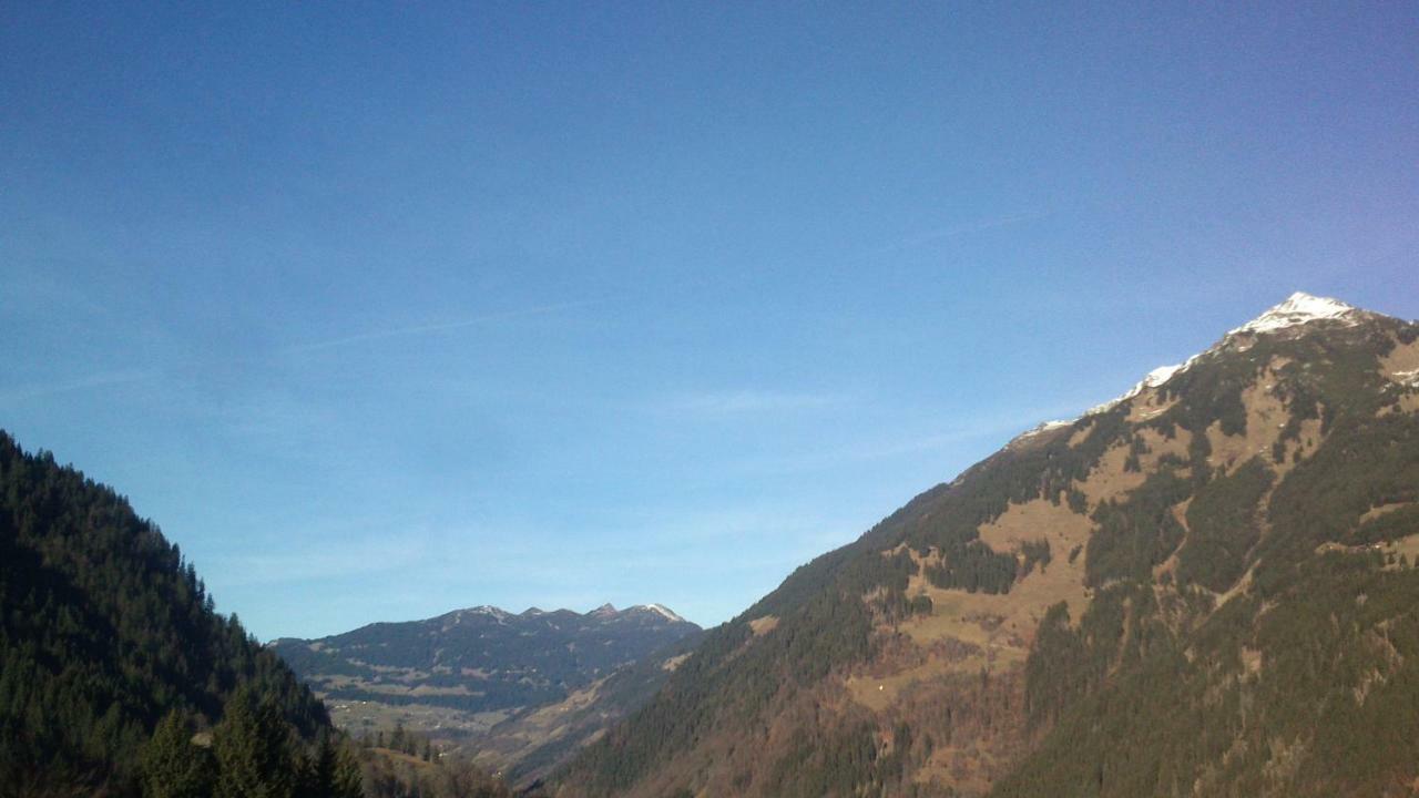 Neuberg Alm Villa Sankt Gallenkirch Kültér fotó