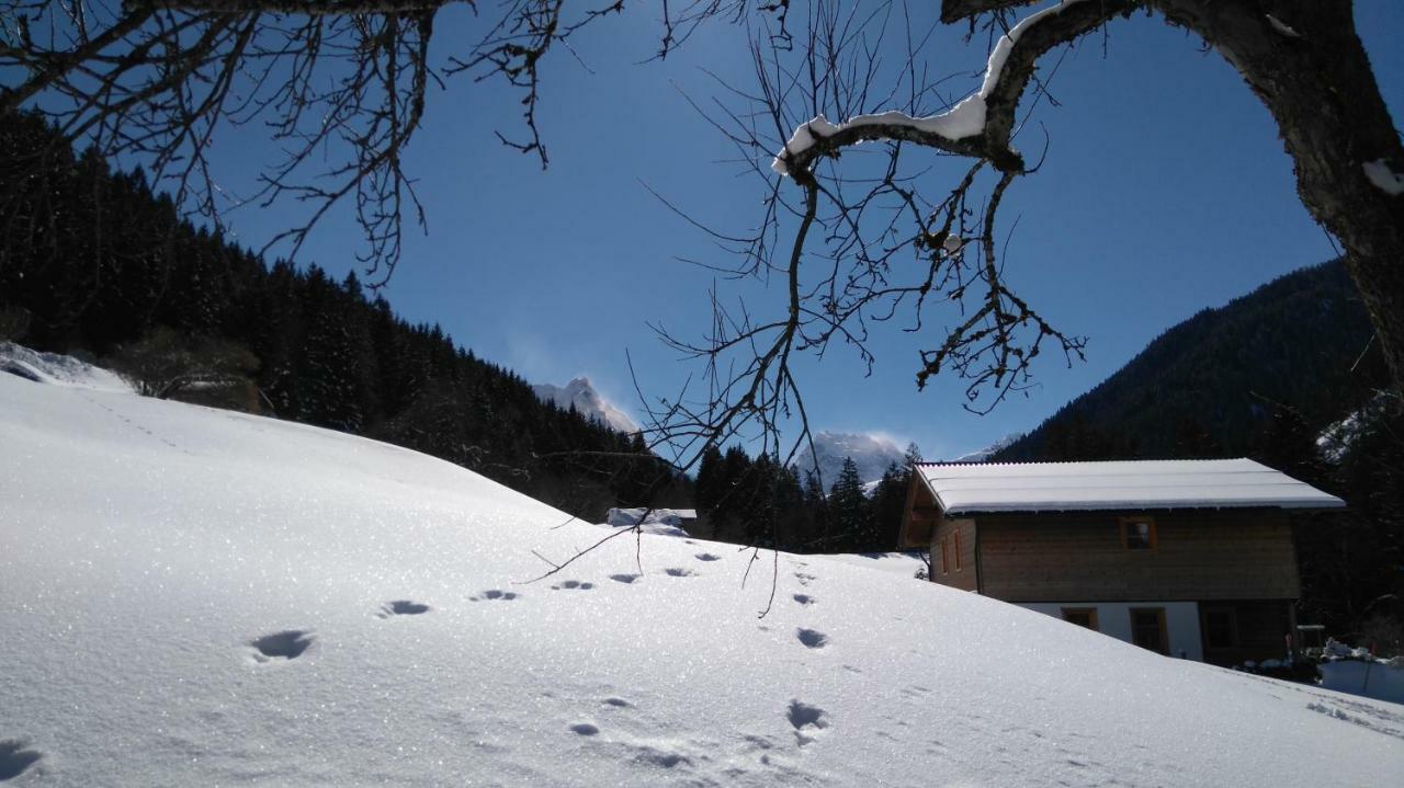 Neuberg Alm Villa Sankt Gallenkirch Kültér fotó